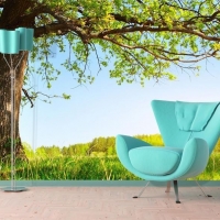 Tranh Dán Tường Phòng Khách PK75 Tranh Dán Tường Phòng Khách PK75