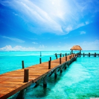 Tranh Dán Tường Phòng Khách PK97