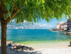 Tranh Dán Tường Phòng Khách PK98