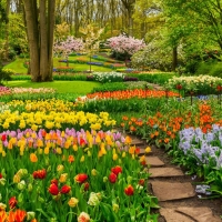  Tranh Dán Tường Phong Cảnh Thiên Nhiên Tiến Phát Decor Pctp98