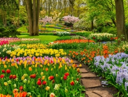  Tranh Dán Tường Phong Cảnh Thiên Nhiên Tiến Phát Decor Pctp98