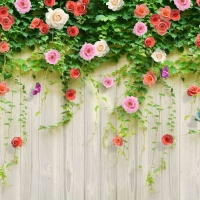 Tranh Dán Tường Phòng Ngủ PN193