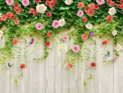 Tranh Dán Tường Phòng Ngủ PN193