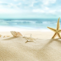 Tranh Dán Tường Phòng Ngủ PN12