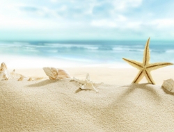 Tranh Dán Tường Phòng Ngủ PN12