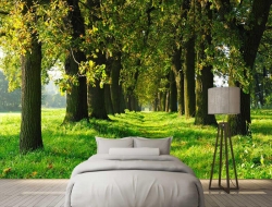 Tranh Dán Tường Phòng Ngủ PN143 Tranh Dán Tường Phòng Ngủ PN143