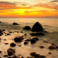 Tranh Dán Tường Phòng Ngủ PN25