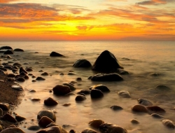 Tranh Dán Tường Phòng Ngủ PN25