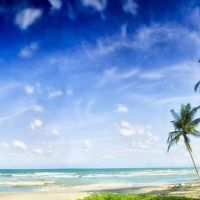 Tranh Dán Tường Phòng Ngủ PN28