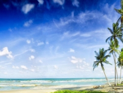 Tranh Dán Tường Phòng Ngủ PN28