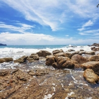 Tranh Dán Tường Phòng Ngủ PN47