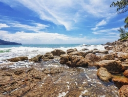 Tranh Dán Tường Phòng Ngủ PN47