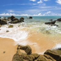 Tranh Dán Tường Phòng Ngủ PN49