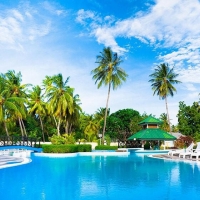 Tranh Dán Tường Phòng Ngủ PN50