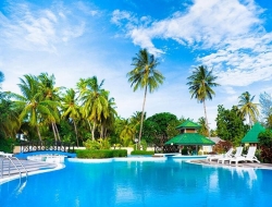 Tranh Dán Tường Phòng Ngủ PN50