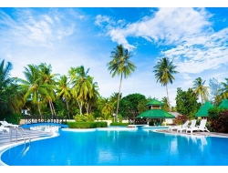 Tranh Dán Tường Phòng Ngủ PN50 Tranh Dán Tường Phòng Ngủ PN50