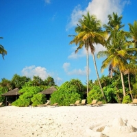 Tranh Dán Tường Phòng Ngủ PN51 Tranh Dán Tường Phòng Ngủ PN51