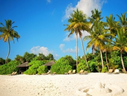 Tranh Dán Tường Phòng Ngủ PN51