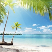 Tranh Dán Tường Phòng Ngủ PN55 Tranh Dán Tường Phòng Ngủ PN55