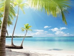 Tranh Dán Tường Phòng Ngủ PN55