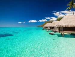 Tranh Dán Tường Phòng Ngủ PN56