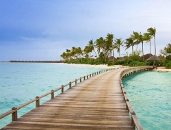 Tranh Dán Tường Phòng Ngủ PN57