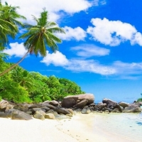 Tranh Dán Tường Phòng Ngủ PN59