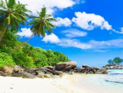 Tranh Dán Tường Phòng Ngủ PN59