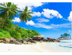 Tranh Dán Tường Phòng Ngủ PN59 Tranh Dán Tường Phòng Ngủ PN59