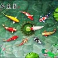 Tranh Dán Tường 3D Phong Thủy Tiến Phát Pttp03 Tranh Dán Tường 3D Phong Thủy Tiến Phát Pttp03