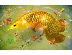Tranh Dán Tường 3D Phong Thủy Tiến Phát Pttp08 Tranh Dán Tường 3D Phong Thủy Tiến Phát Pttp08