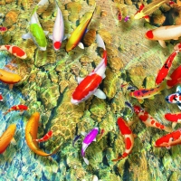 Tranh Dán Tường 3D Phong Thủy Tiến Phát Pttp22 Tranh Dán Tường 3D Phong Thủy Tiến Phát Pttp22