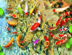 Tranh Dán Tường 3D Phong Thủy Tiến Phát Pttp22 Tranh Dán Tường 3D Phong Thủy Tiến Phát Pttp22