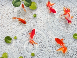 Tranh Dán Tường 3D Phong Thủy Tiến Phát Pttp33 Tranh Dán Tường 3D Phong Thủy Tiến Phát Pttp33