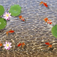 Tranh Dán Tường 3D Phong Thủy Tiến Phát Pttp56