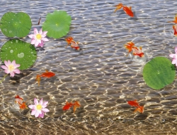 Tranh Dán Tường 3D Phong Thủy Tiến Phát Pttp56 Tranh Dán Tường 3D Phong Thủy Tiến Phát Pttp56