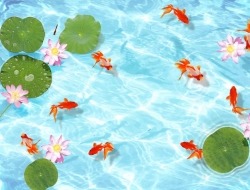 Tranh Dán Tường 3D Phong Thủy Tiến Phát Pttp57 Tranh Dán Tường 3D Phong Thủy Tiến Phát Pttp57