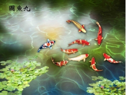 Tranh Dán Tường 3D Phong Thủy Tiến Phát Pttp67 Tranh Dán Tường 3D Phong Thủy Tiến Phát Pttp67