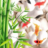 Tranh Dán Tường 3D Phong Thủy Tiến Phát Pttp68