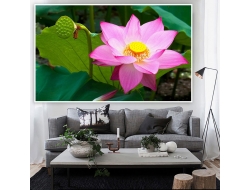 Tranh Dán Tường 3D Phong Thủy Tiến Phát Pttp141