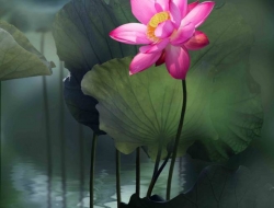 Tranh Dán Tường 3D Phong Thủy Tiến Phát Pttp114