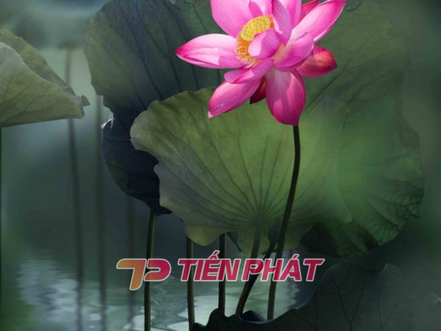 Tranh Dán Tường 3D Phong Thủy Tiến Phát Pttp114 Tranh Dán Tường 3D Phong Thủy Tiến Phát Pttp114