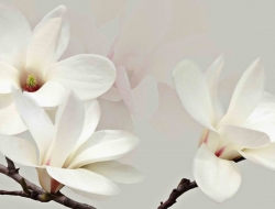 Tranh Dán Tường 3D Phong Thủy Tiến Phát Pttp117