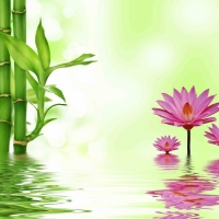 Tranh Dán Tường 3D Phong Thủy Tiến Phát Pttp81 Tranh Dán Tường 3D Phong Thủy Tiến Phát Pttp81