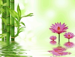 Tranh Dán Tường 3D Phong Thủy Tiến Phát Pttp81