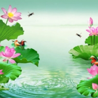 Tranh Dán Tường Phong Thủy PT49 Tranh Dán Tường Phong Thủy PT49