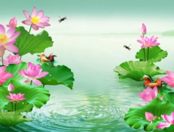 Tranh Dán Tường Phong Thủy PT49 Tranh Dán Tường Phong Thủy PT49