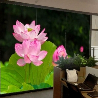 Tranh Dán Tường Phong Thủy PT50