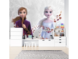 Tranh 3D Dán Tường Công Chúa Elsa Và Anna TTE8010