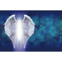 Tranh Dán Tường Phòng Trẻ Em 210